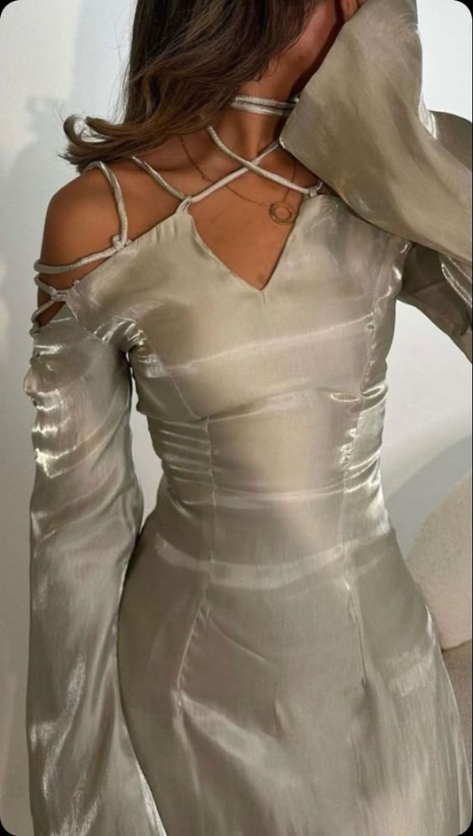 Silver Grey Prom Dress, Modern Girl Lace Up Flare Sleeves V Neck Elegant Evening Dress fg6554