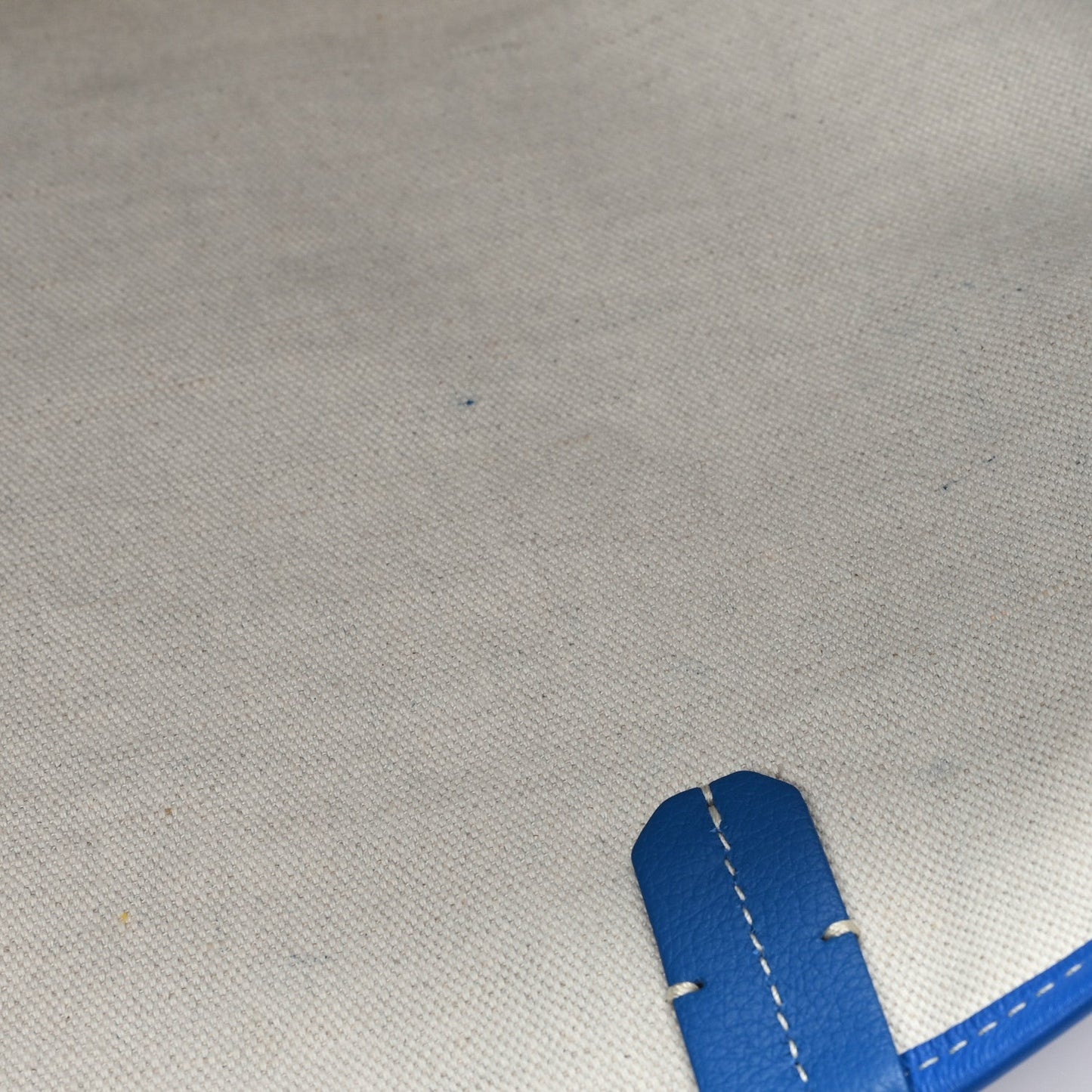 Goyardine Saint Louis PM Sky Blue