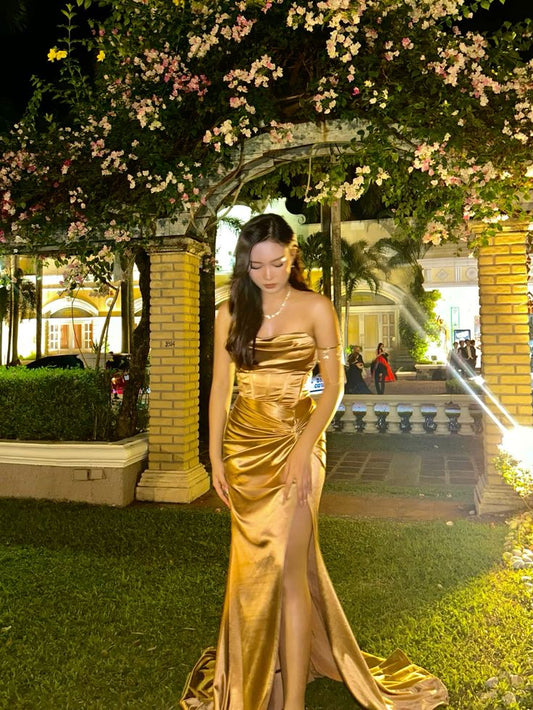Gold Sleeveless Party Dress, Long Formal Dress fg5596