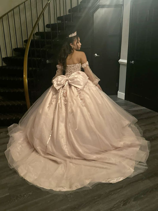 Appliques Tulle Quinceanera Dress Ball Gown,Sweet 16 Dress fg6477