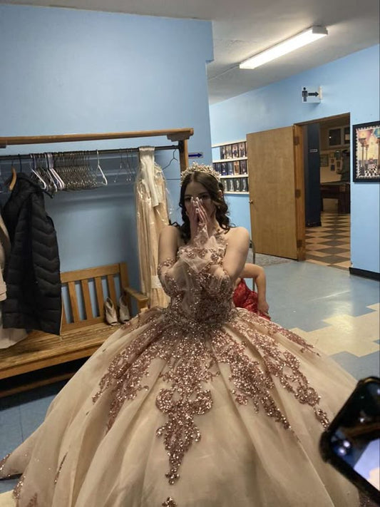 Ball Gown Quinceanera Dresses Lace Appliqued Evening Party Sweet 16 Prom Dress fg6533