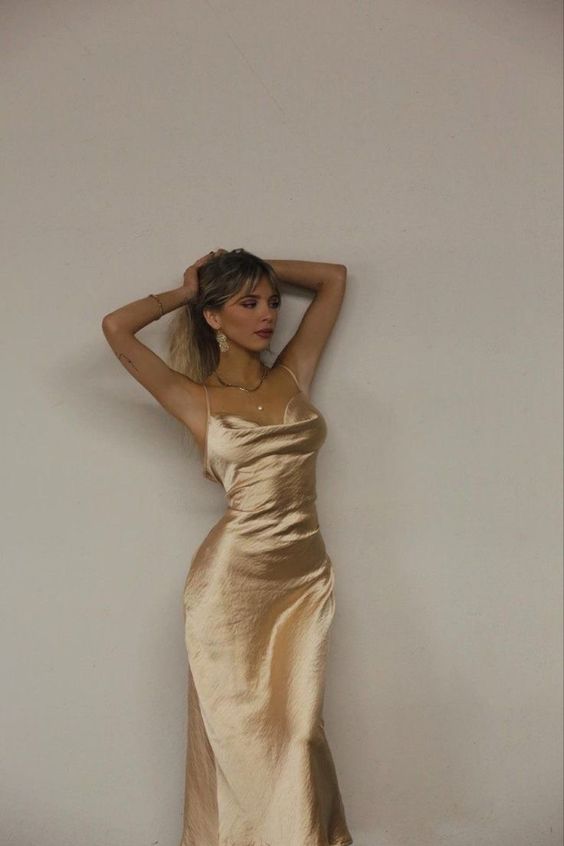 Champagne Evening Dress Long Prom Dress Party Dress fg2334