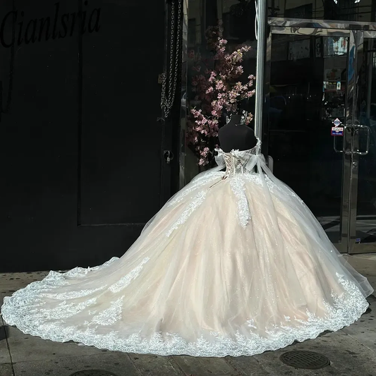 Shimmering Champagne Beaded Pearls Illusion Ball Gown Quinceanera Dress fg6836