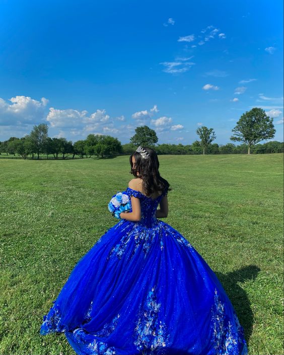 Royal blue quinceañera dress Ball Gown Evening Dress fg3938