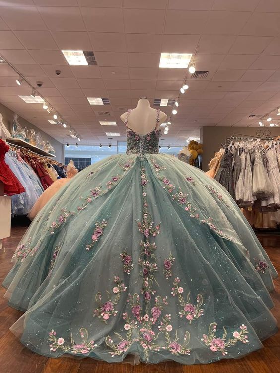 Ball Gown Long Prom Dress, Party Dress Evening Dress fg3936
