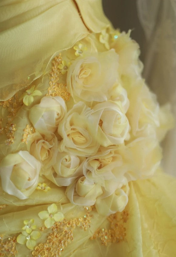 Yellow A-Line Strapless Organza Wedding Dress with Appliques and Rhinestones Long Evening Gown HZ1024