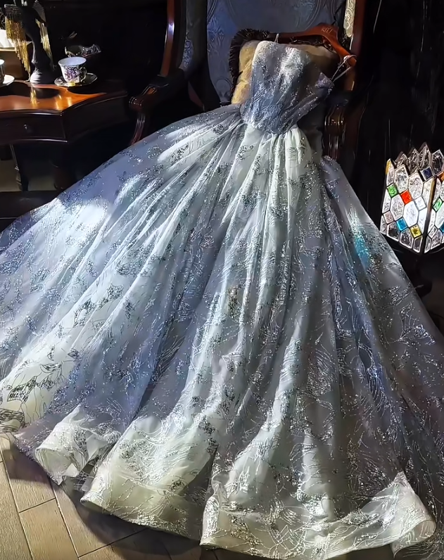 Strapless A-Line Bridal Dress Tulle Beaded Applique Long Prom Dress Silver Grey Formal Evening Dress HZ1024
