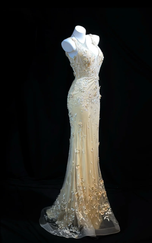 Vintage V-neck Sheath Long Prom Dresses Tulle Appliques Apricot Evening Gowns Sleeveless Party Dresses ED05674
