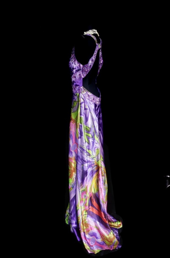 Elegant Purple Sheath Long Prom Dresses Beaded Silk V-neck Evening Gowns Sleeveless Formal Dresses ED05809