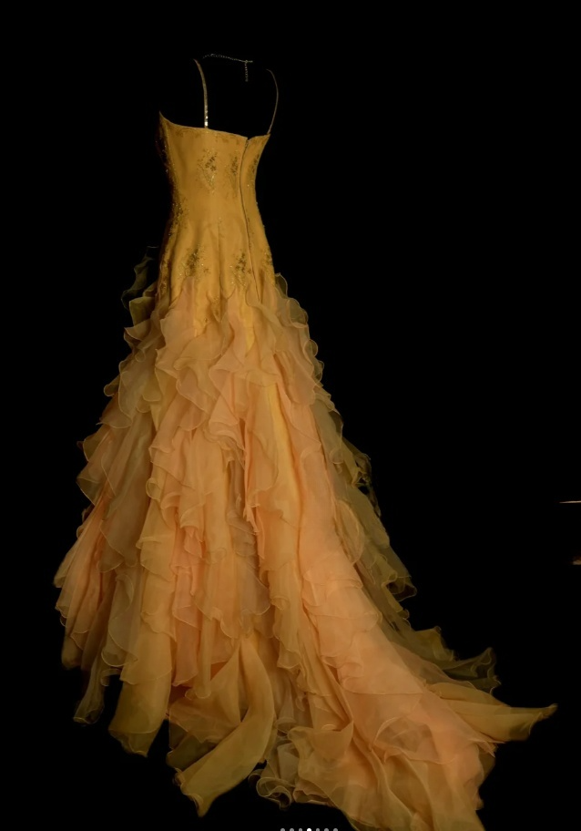 Elegant Strapless Yellow Long Prom Dresses Beaded Tulle A-Line Birthday Dress ED06061