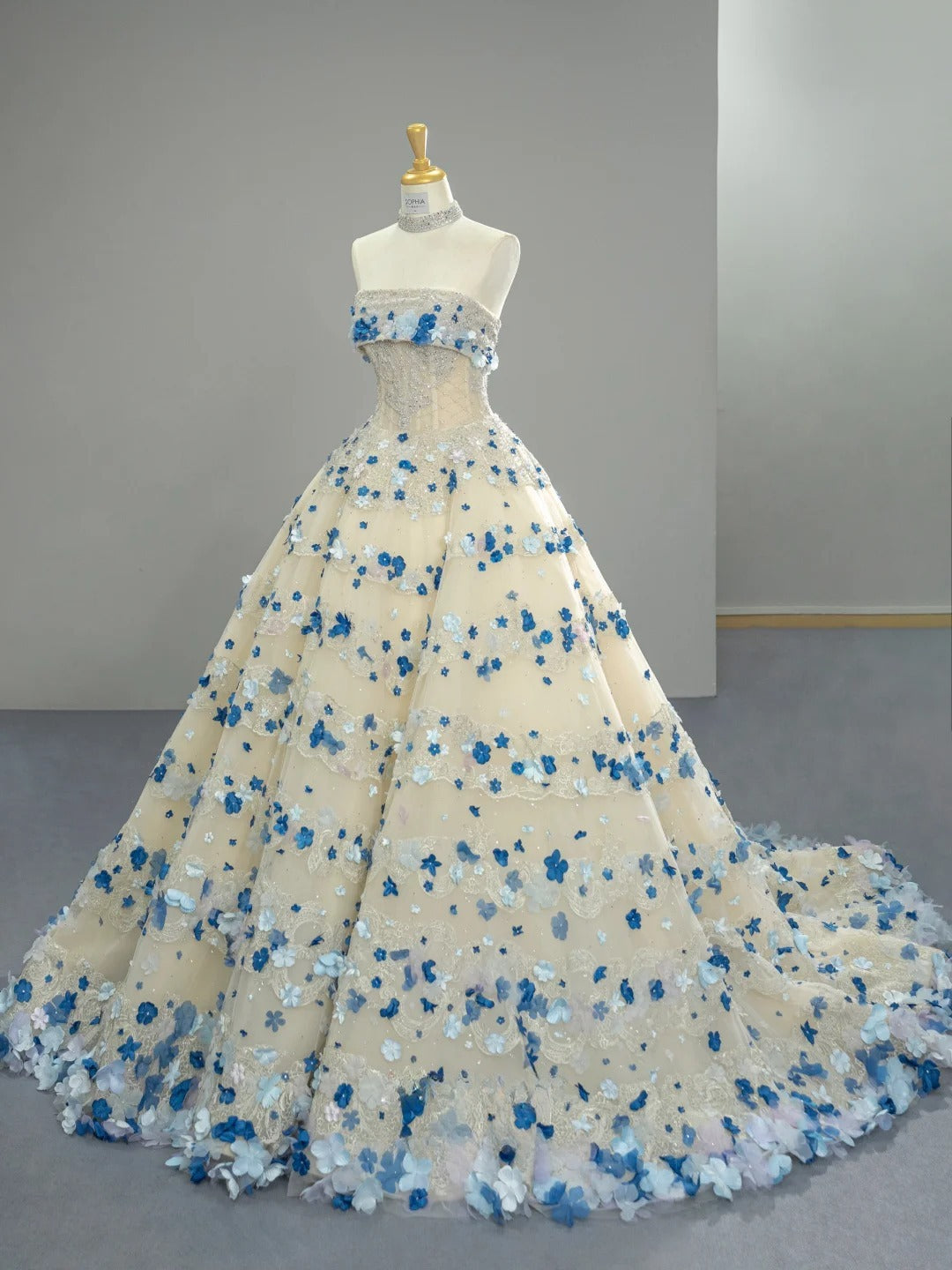 Chic Appliques Long Prom Dresses Tulle Strapless A-Line Evening Dresses Sleeveless Birthday Dresses ED06213