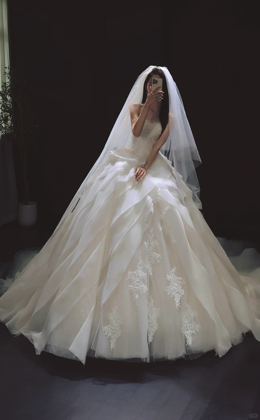 White Ball Gown Tulle Wedding Dress Applique Strapless Bridal Gown with Veil HZ1024