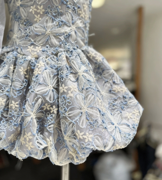 Elegant Homecoming Dress Spaghetti Strap Applique Back to School Outfits Party Dress D6568