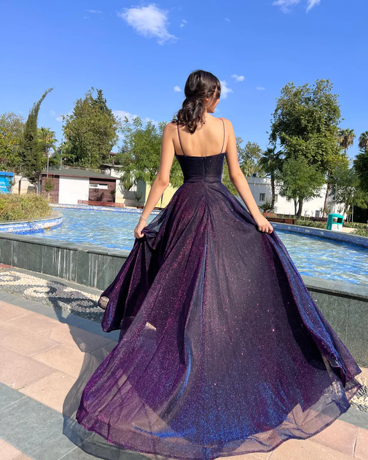 Elegant Spaghetti Straps A-Line Tulle Long Prom Dresses fg4967