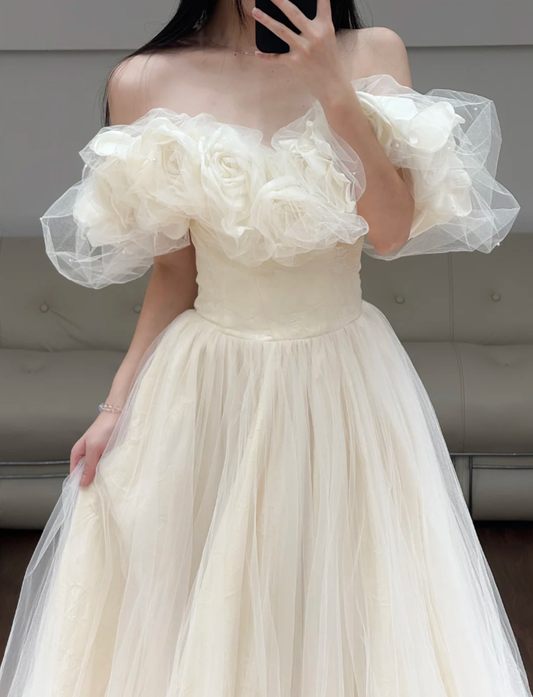 Off The Shoulder A Line Prom Dress Beige Tulle Birthday Dress fg8622