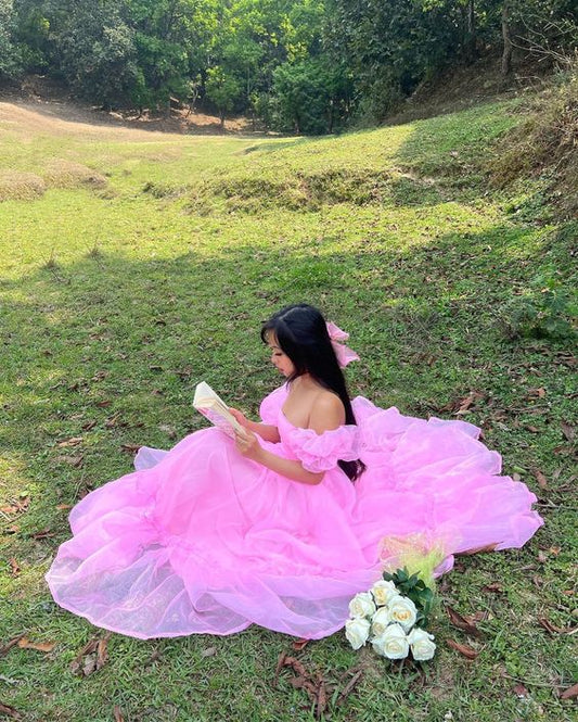 Princess 17th Birthday Dresses Pink Birthday Dress For Teens P356