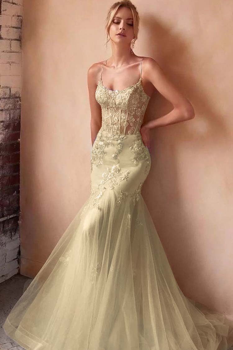 Baby Blue Sleeveless Spaghetti Strap Embroidery Mermaid Prom Dress