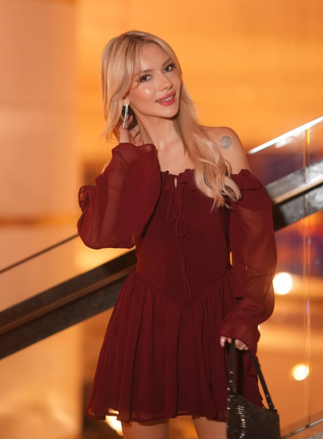 Burgundy  A Line Long Sleeve Chiffon Short Homecoming Dress Cocktail Dress SH3591