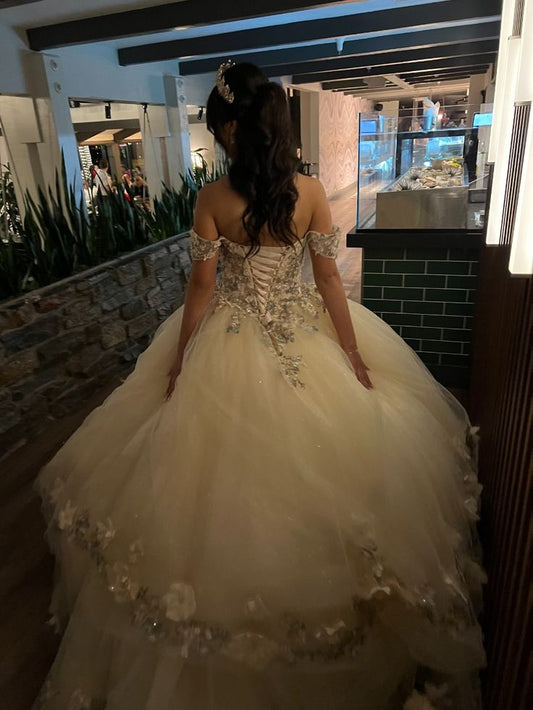 Champagne Quince Dress with Flowers Sweet 16 Dresses Off the Shoulder Ball Gown    fg8019
