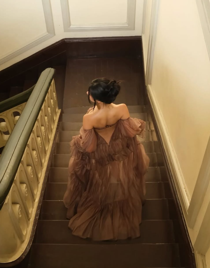 Charming Brown A Line Long Sleeve Satin Long Prom Dress Evening Dress SH2114