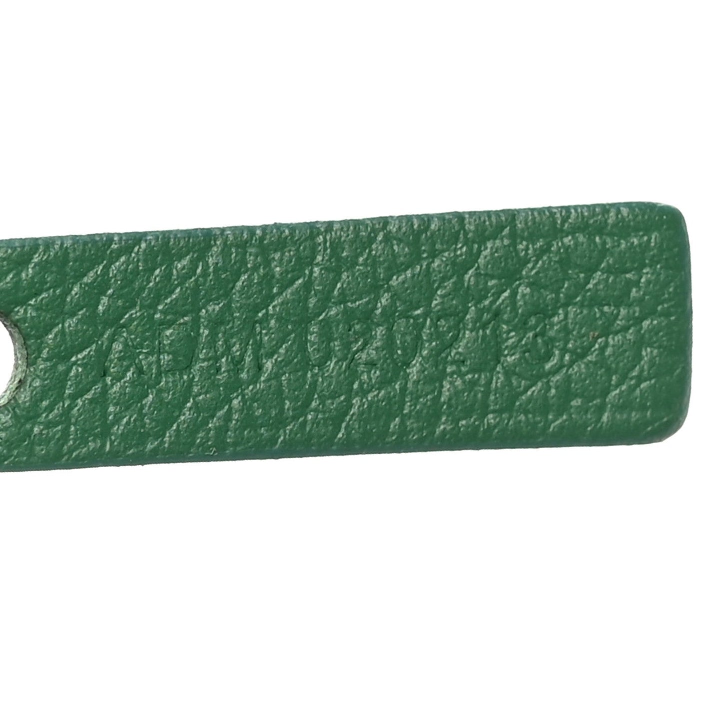 Goyardine Saint Louis PM Green