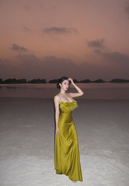 Elegant A Line Spaghetti Straps Feather Satin Prom Dress Vacation Dress SH5191