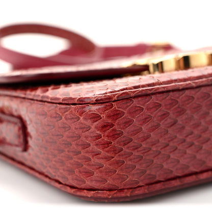 Watersnake Teen Triomphe Ruby