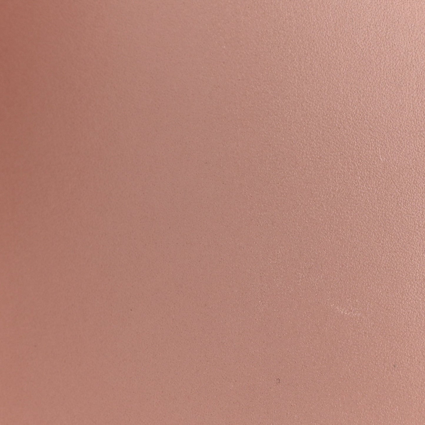 Calfskin Quilted Lily Floral Mini Coco Handle Flap Beige Black White Red