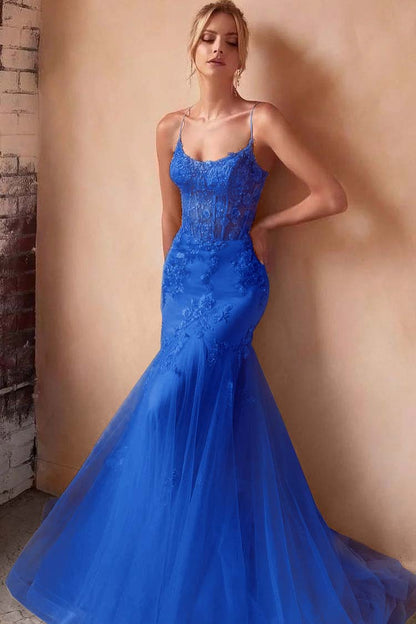 Baby Blue Sleeveless Spaghetti Strap Embroidery Mermaid Prom Dress