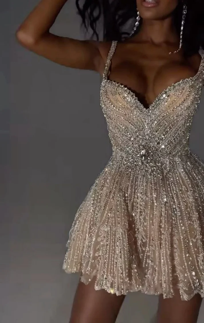 Gorgeous Tulle Beaded A Line Cocktail Dress Champagne Short Homecoming Dress S351