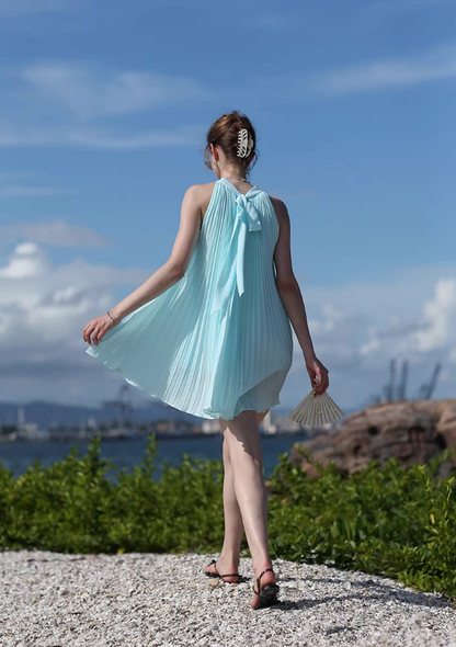 Blue A Line Halter Pleated Chiffon Short Homecoming Dress Vacation Dress Outfits SH3993