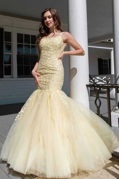 Bateau Sleeveless Mermaid Lace And Tulle Long Party Prom Dress