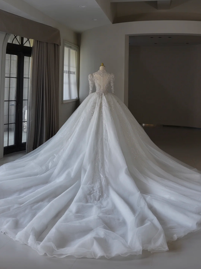 Luxury Ball Gown V Neck Long Sleeves Lace Wedding Dress With Silver Beads Wedding Dresses Modest Wedding Gowns Brides Dress DH1301