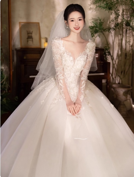 Timeless V-neck A-Line Long Wedding Dresses Tulle Appliques White Bridal Gowns Long Sleeves Bridal Dresses DP04215