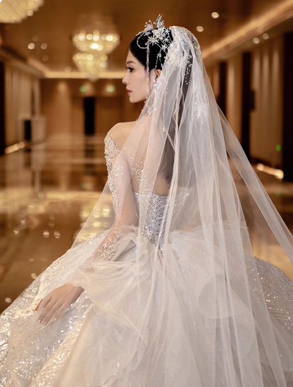 Princess Bridal Dress Ball Gown Off-the-shoulder Tulle Sequins White Beads Long Wedding Dress Modest Long Sleeve Bridal Gowns DP2772
