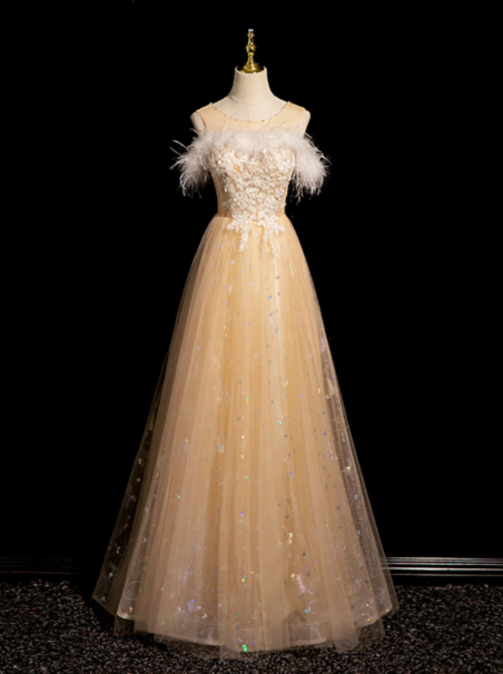 Crew Neck Tulle Embroider Sequins Long Prom Dress, Dark Champagne Formal Dress HZ1024