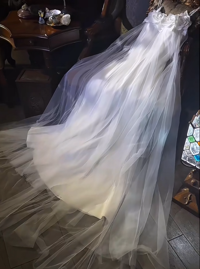 Fairy Strap A-Line Tulle Light Luxury Wedding Dress White Formal Evening Dress ED03965