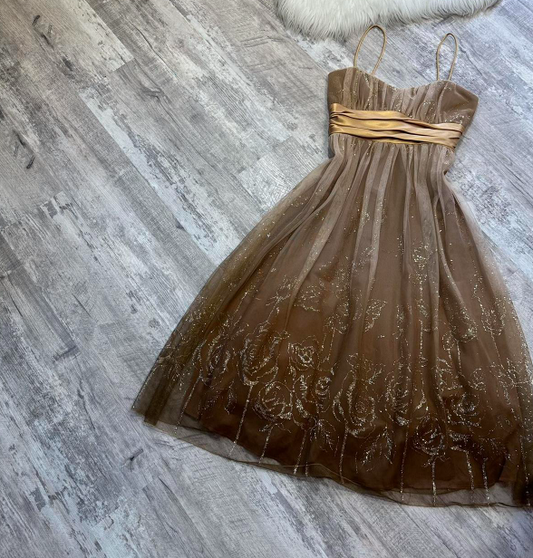 A-line Tulle Short Prom Dresses, Brown Homecoming Dresses, Spaghetti Strap Birthday Dresses HZ1024
