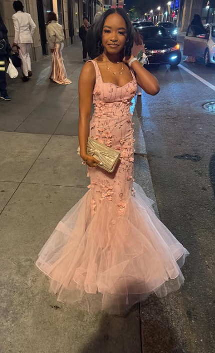 Straps Mermaid Long Prom Dresses with Appliqu¨¦ Tulle Pink Formal Dresses Sweet Birthday Dresses HZ1024