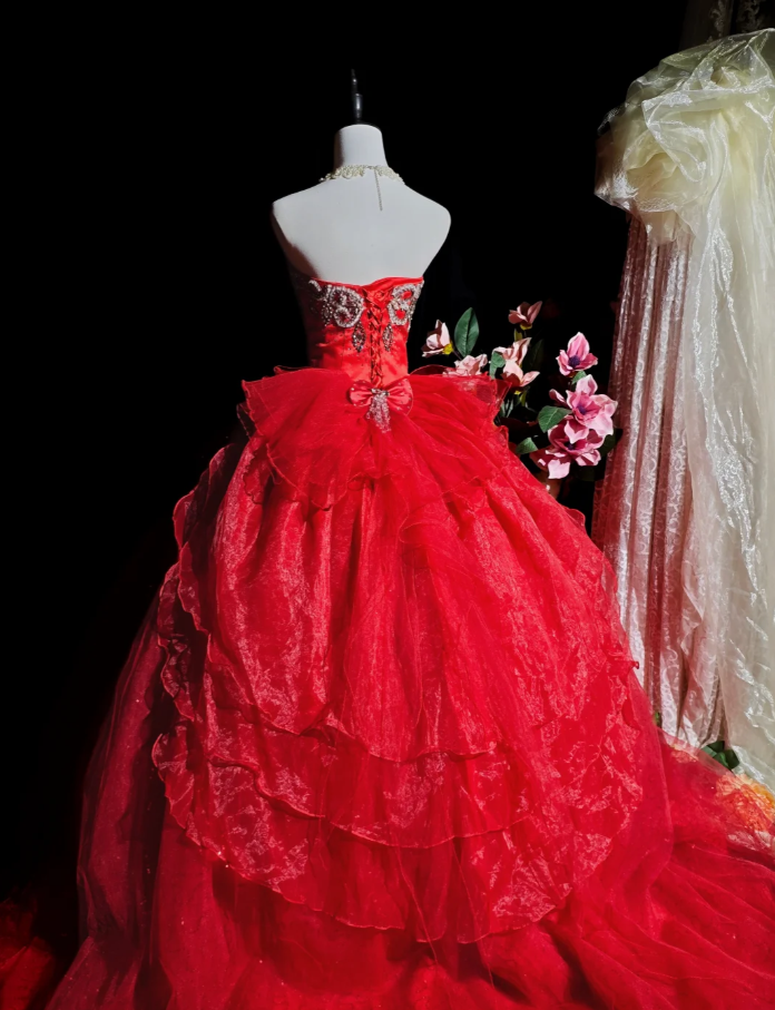 Chic Red Long Prom Dresses Applique Tulle Strapless A-Line Quinceanera Dresses Sleeveless Sweet 16 Dresses ED06162