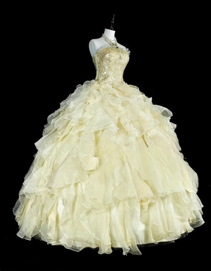 Chic Ball Gown Yellow Long Prom Dress Tulle Sequins Strapless Evening Dress Sleeveless Quinceanera Dress ED06359