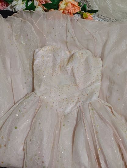 Chic Soft Pink Prom Dress Strapless A-Line Birthday Dress Tulle Sequins Sleeveless Evening Dress ED06793