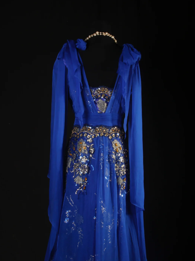 Chic Royal Blue Chiffon Sequin Beaded Mermaid Long Party Dress Birthday Dress D2229