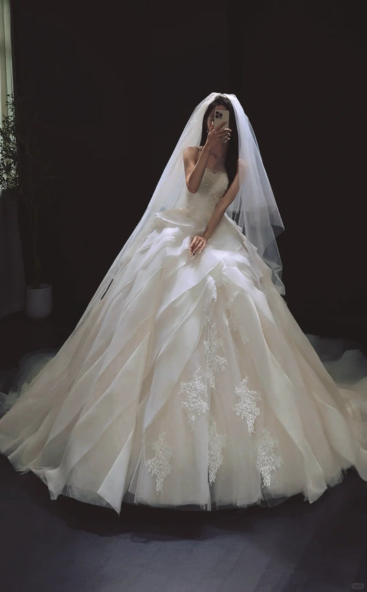 Elegant White Ball Gown Tulle Wedding Dress Applique Strapless Bridal Gown with Veil EW016