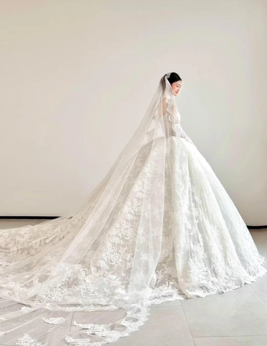 Sweetheart Applique Ball Gown White Luxury Wedding Dresses  Elegant Lace Bridal Gowns EW022