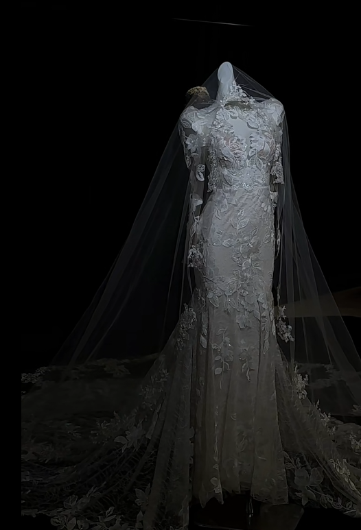 Timeless Mermaid Luxury Wedding Dresses Elegant Lace Applique Long Sleeves Bridal Gowns EW028