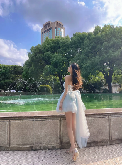 Baby Blue A Line Sweetheart Neck Tulle Short Homecoming Dress Birthday Dress with Bow SH3643