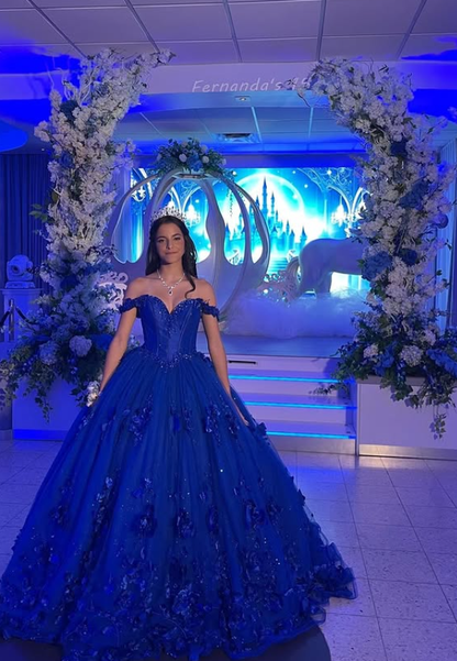 Royal Blue Tulle Beaded Applique Long Prom Dress Quinceanera Dress Ball Gown SH5183