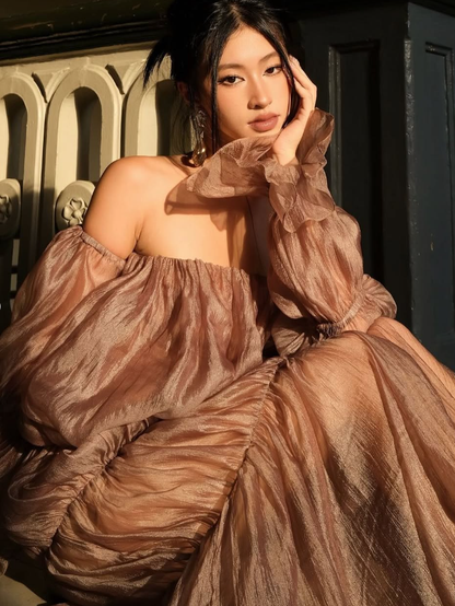 Charming Brown A Line Long Sleeve Satin Long Prom Dress Evening Dress SH2114