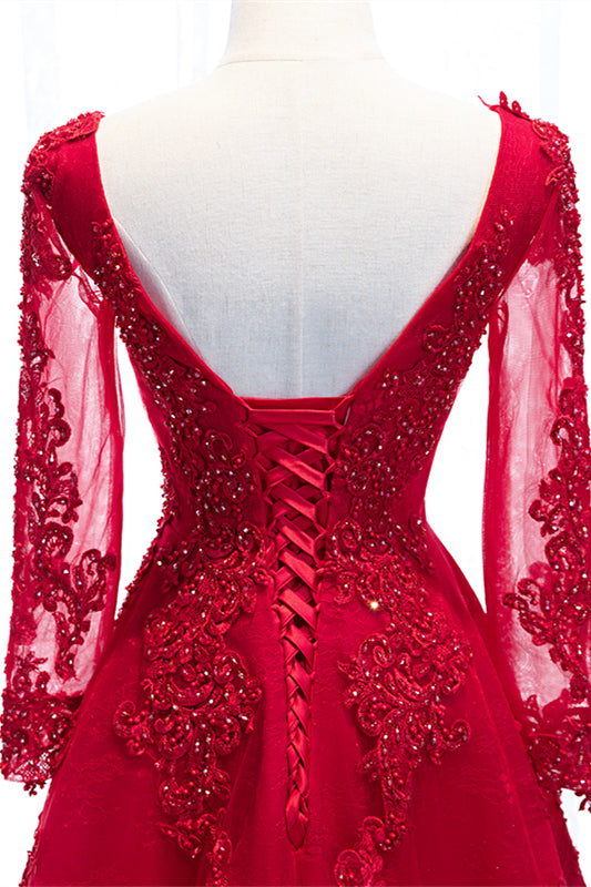 V-Neck Long Sleeves A-Line Lace Appliques Party Evening Dress
